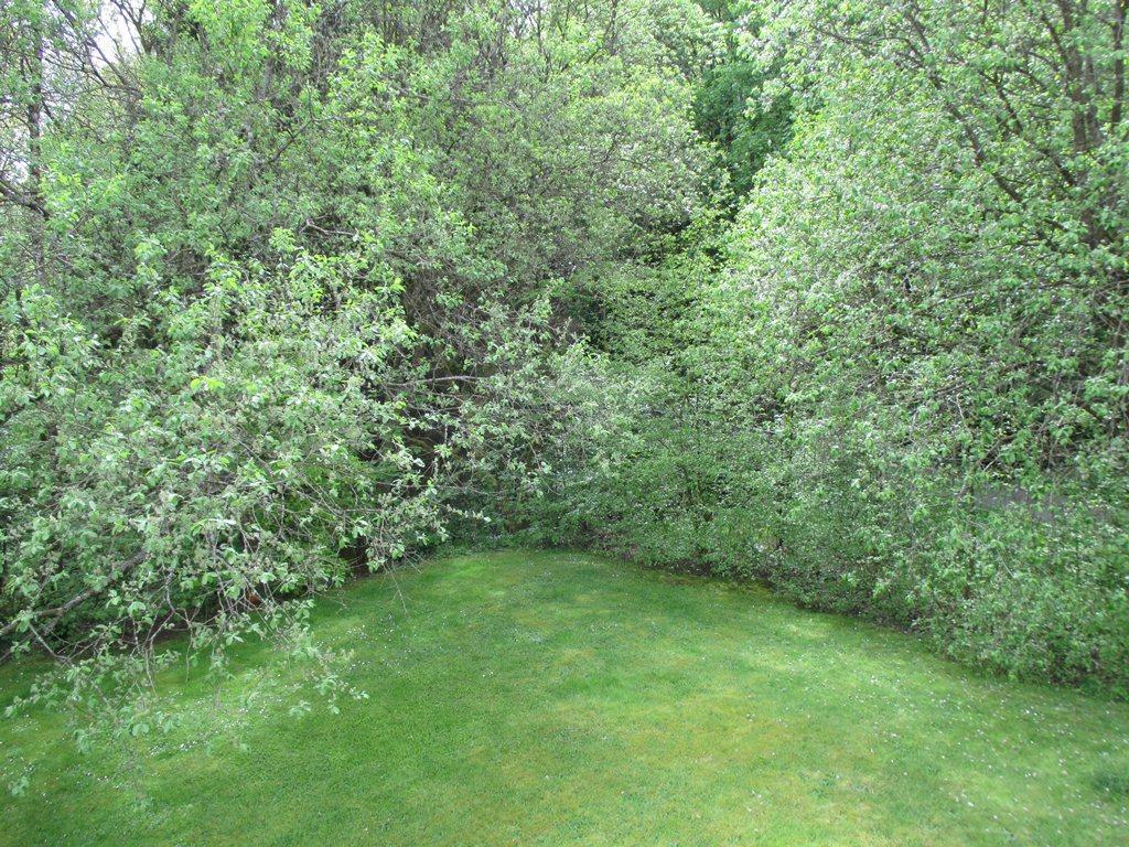 Ferienwohnung An Der Lay Bach  Екстер'єр фото
